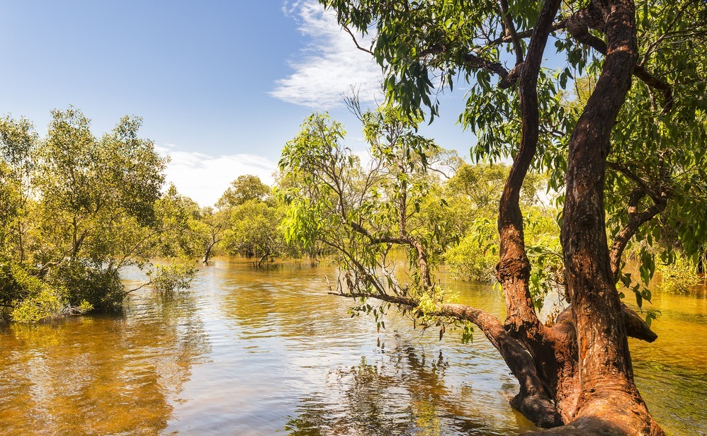 Myora Springs, important Aboriginal site of unique wetlands on Stradbroke Island, Queensland, Australia